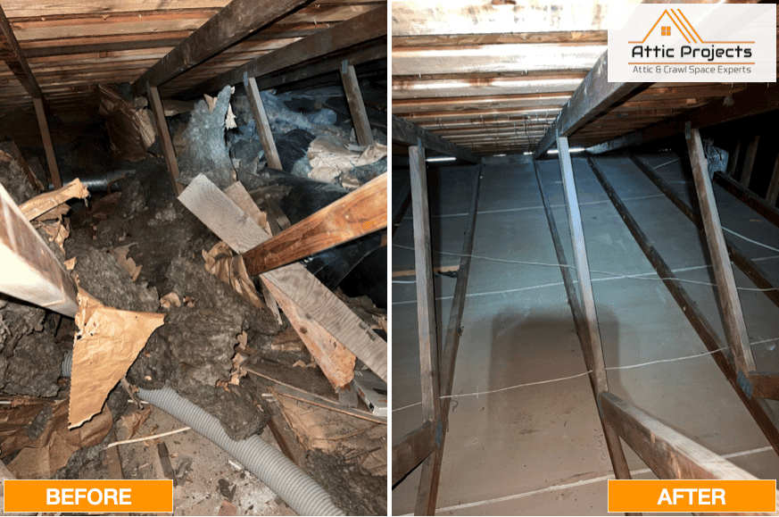 Attic Cleaning And Sanitation