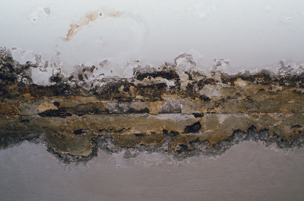 Damaged Crawl Space - How Much Damage Can Standing Water Cause to Your Crawl Space graphic