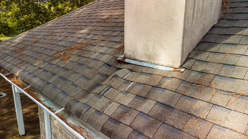 Warping Rooftop - How to Properly Dry a Leak to Avoid Mold graphic