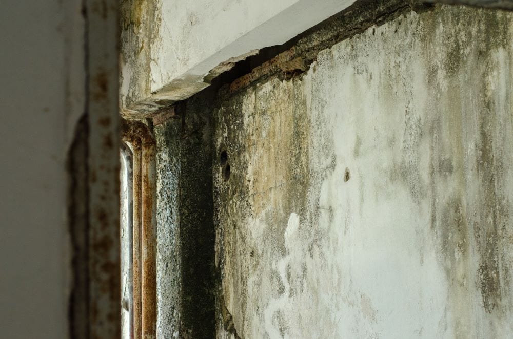 Old Concrete Wall with Molds - Is Your New Home Hiding a Mold Problem graphic
