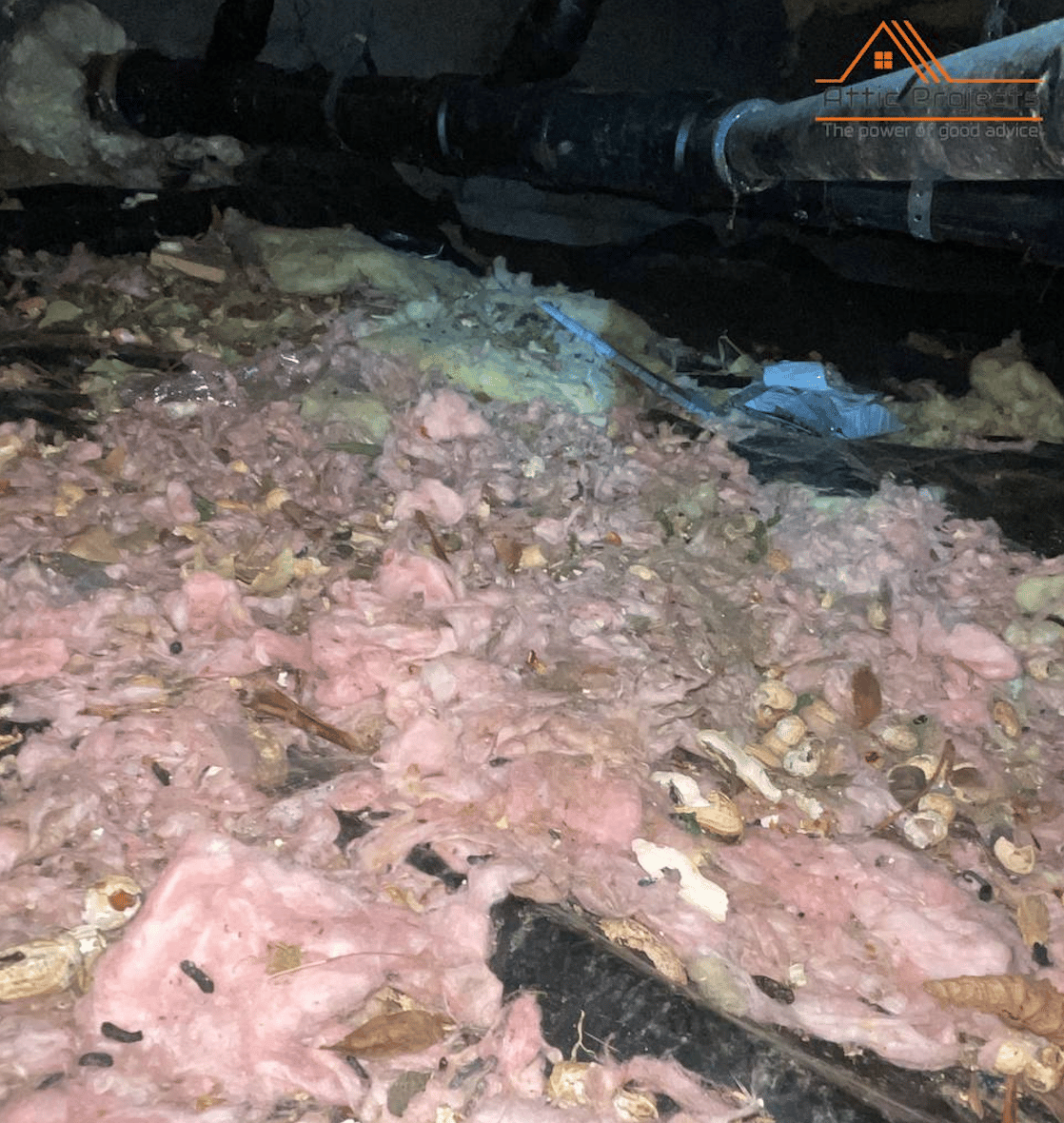 damaged insulation in crawl space