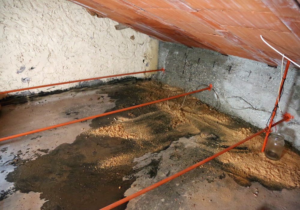 Attic Under Construction - Signs Your Attic Has Water Damage graphic