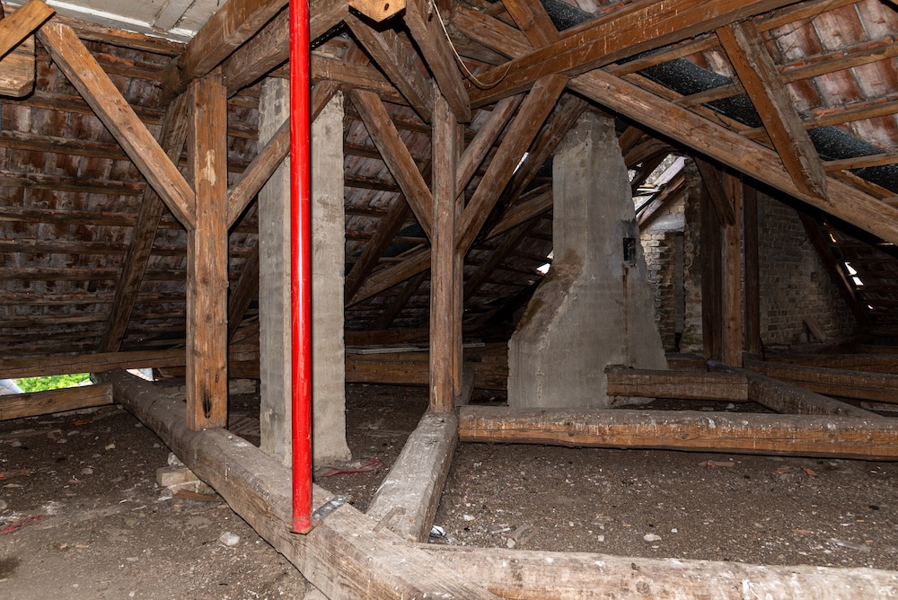 Very Old Crawl Space - Top Reasons Your Crawl Space May Smell graphic