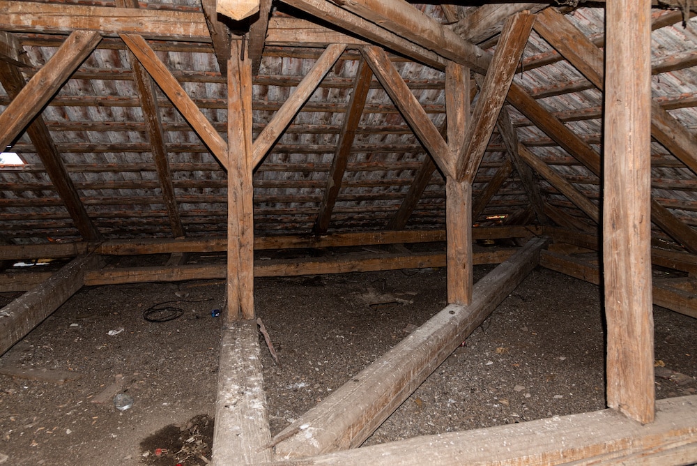 Old Crawl Space - Why You Should Have Your Crawl Space Inspected Before Moving In graphic