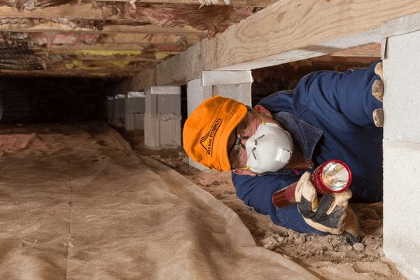 Crawl Space Cleaning Small Insulation Removal